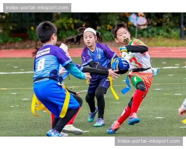 全球橄榄球装备销售额Q1报告出炉,青少年市场同比增长显著 全球橄榄球装备销售额Q1报告出炉,青少年市场同比增长显著